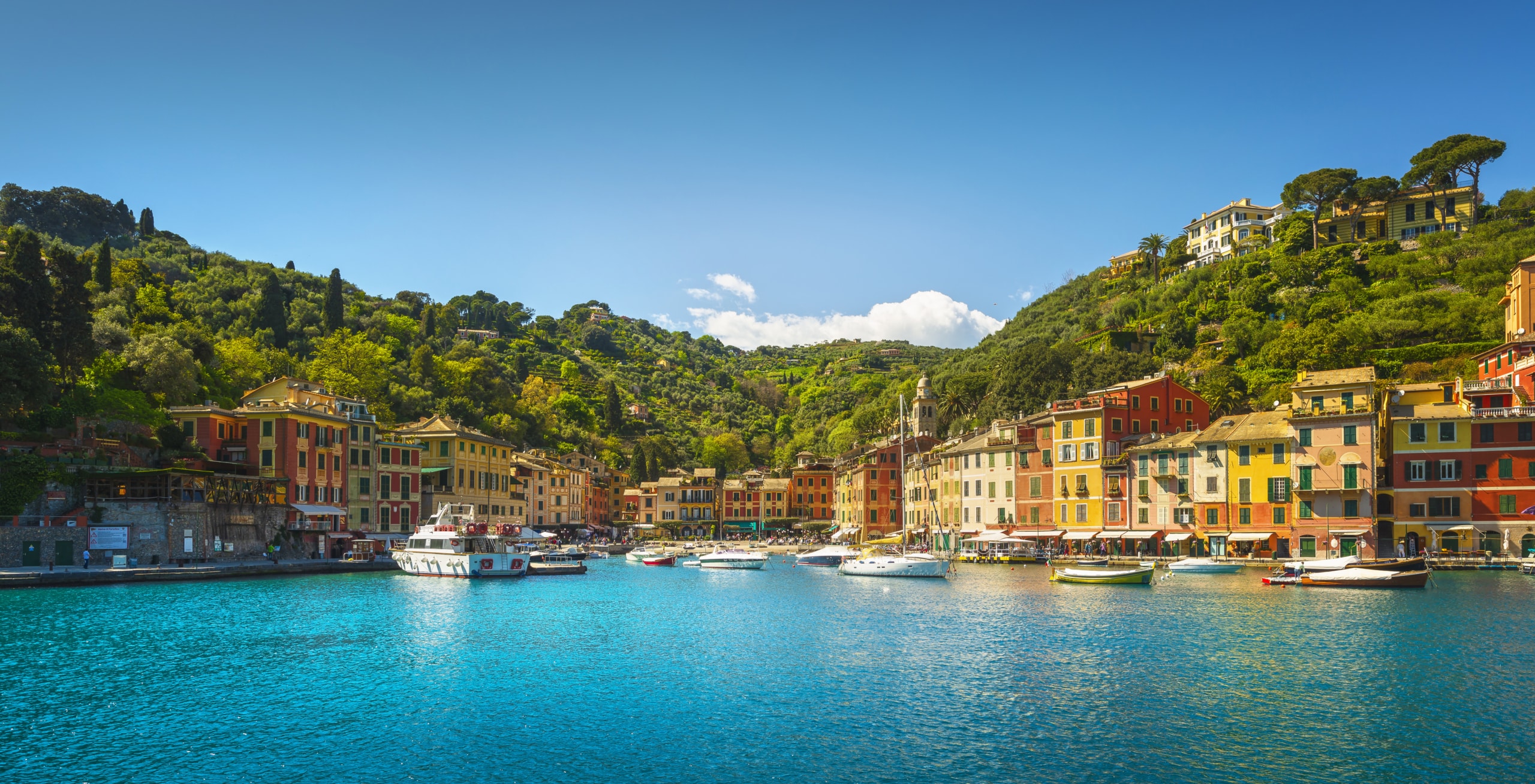 Immagine di Portofino dal Mare
