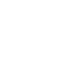 Logo IB International Trasparente (Bianco)