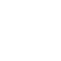 Logo IB International Trasparente (Bianco)